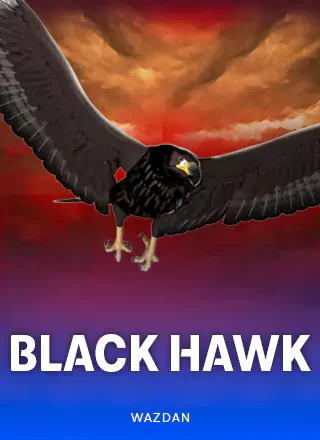ภาพตัวอย่างเกม WZD Black Hawk